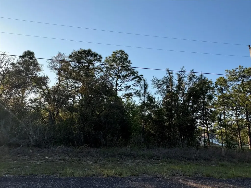 9172 N Marcus Way Citrus Springs FL 34433