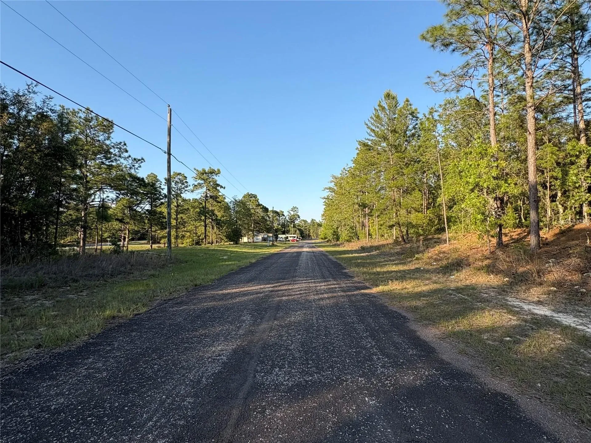 9172 N Marcus Way Citrus Springs FL 34433