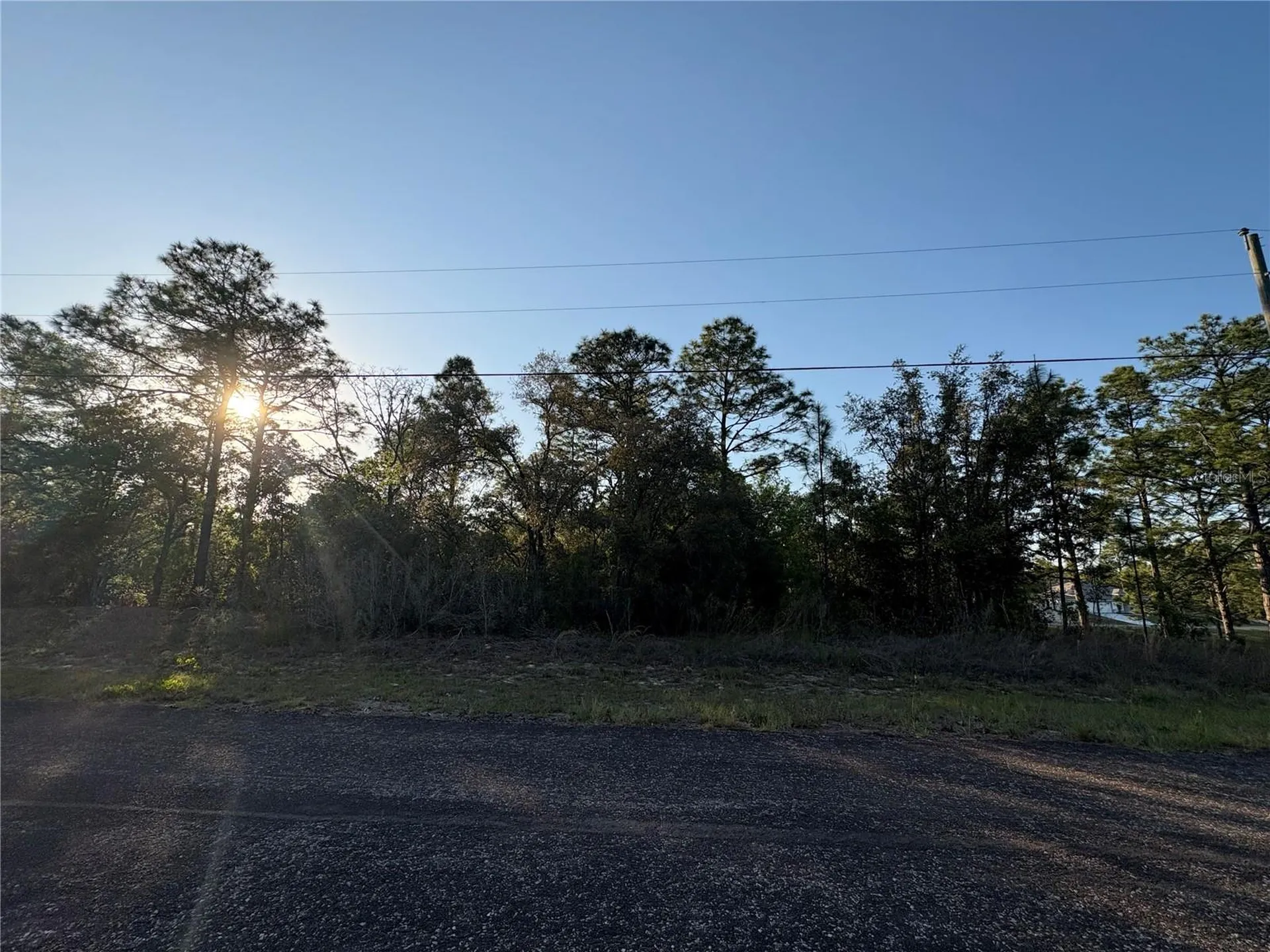 9172 N Marcus Way Citrus Springs FL 34433