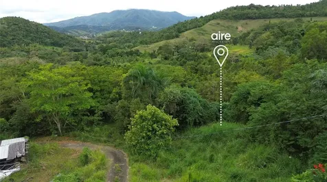 Lot 7 Km 61 Pr-3 Int Daguao Ward Ceiba PR 00735