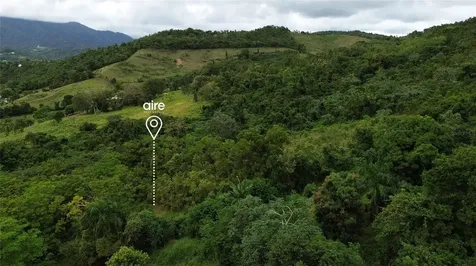 Lot 7 Km 61 Pr-3 Int Daguao Ward Ceiba PR 00735