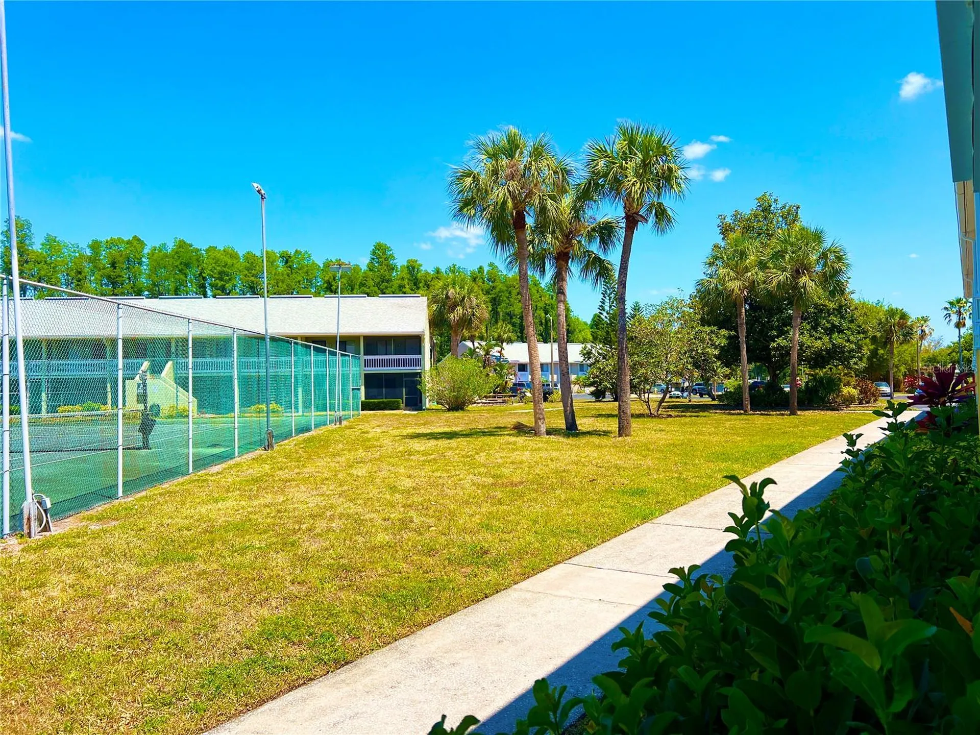 1849 Abrico Drive Lutz FL 33558