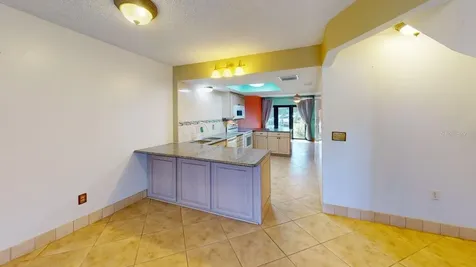 1849 Abrico Drive Lutz FL 33558