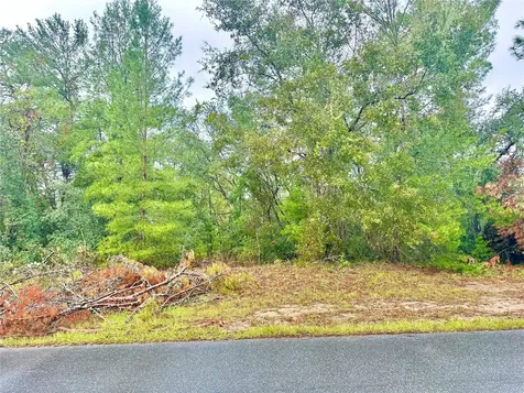 Tbd SW 46th Terrace Ocala FL 34473