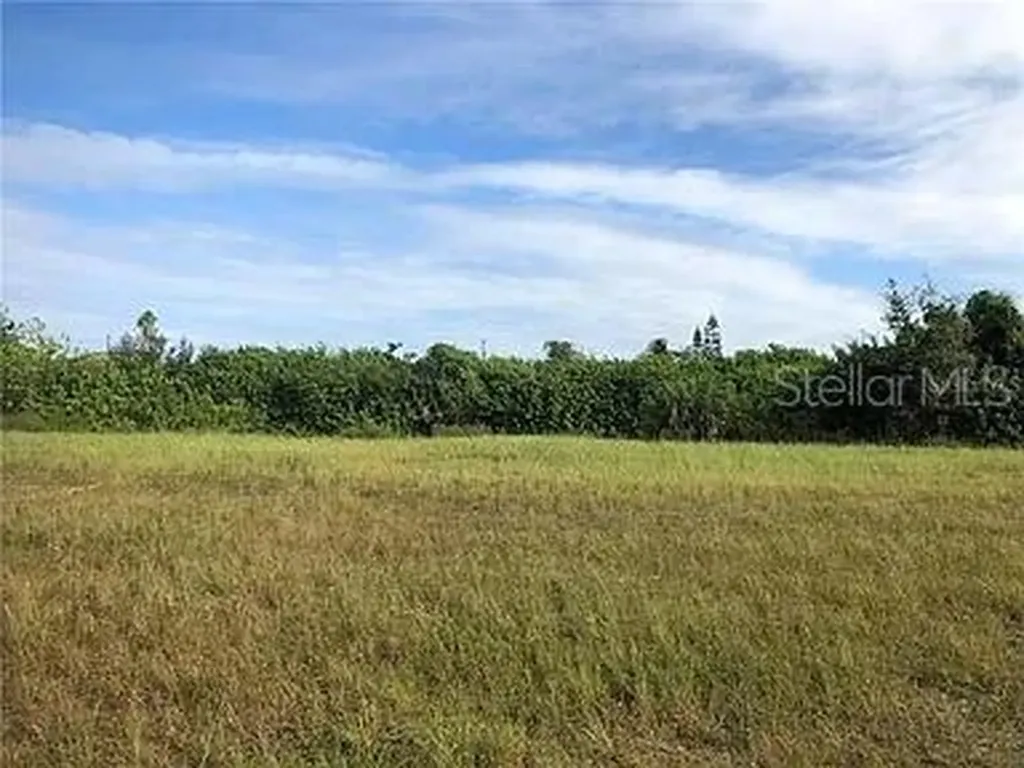 339 NE 19th Terrace Cape Coral FL 33909