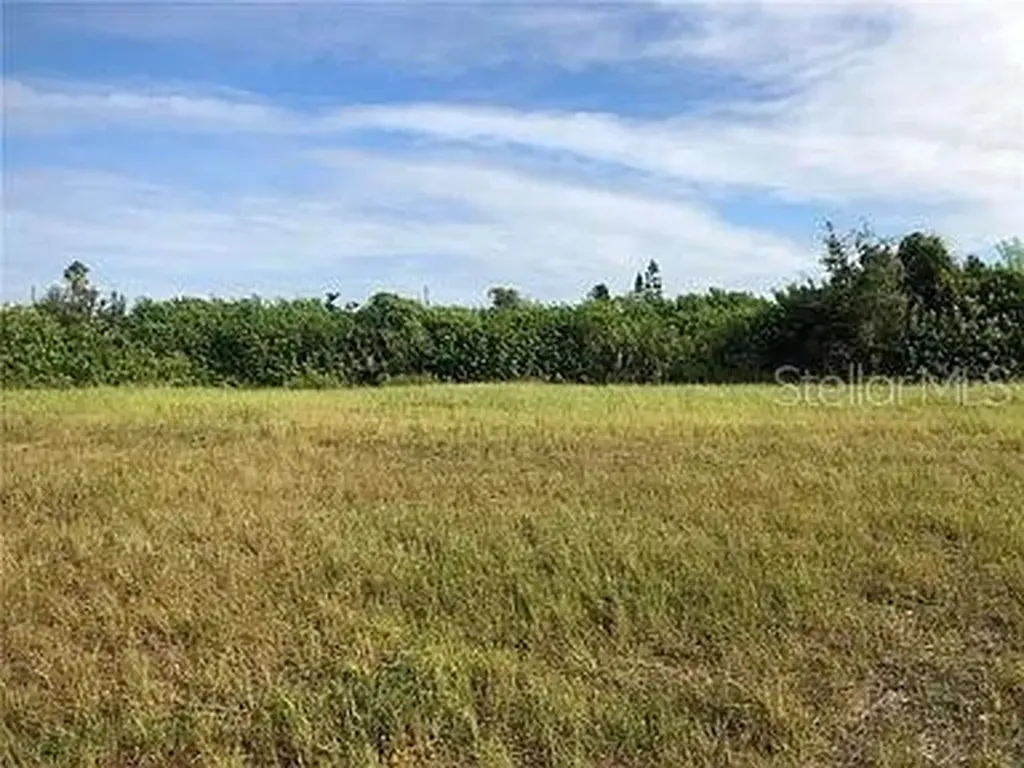 339 NE 19th Terrace Cape Coral FL 33909