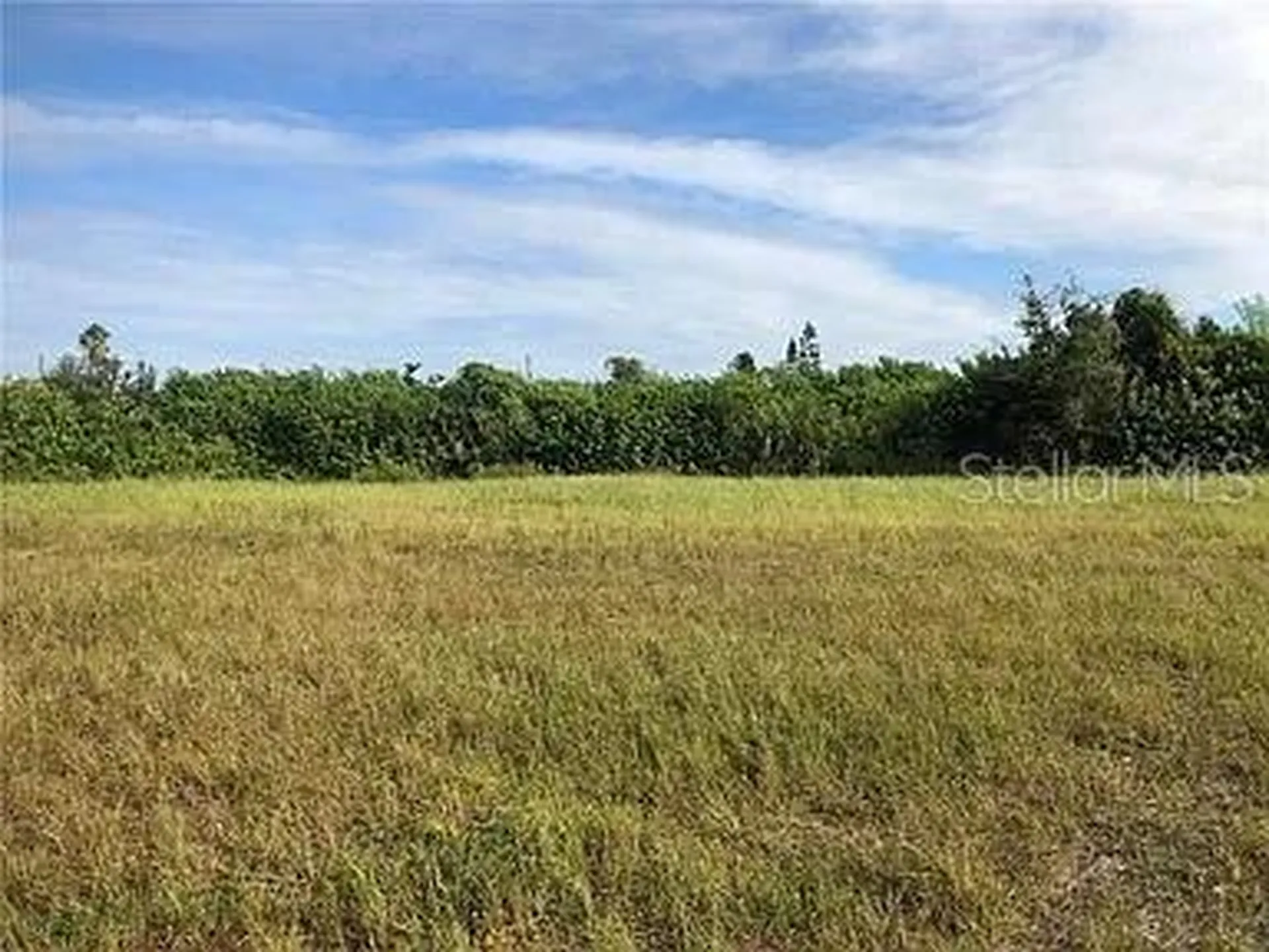 339 NE 19th Terrace Cape Coral FL 33909
