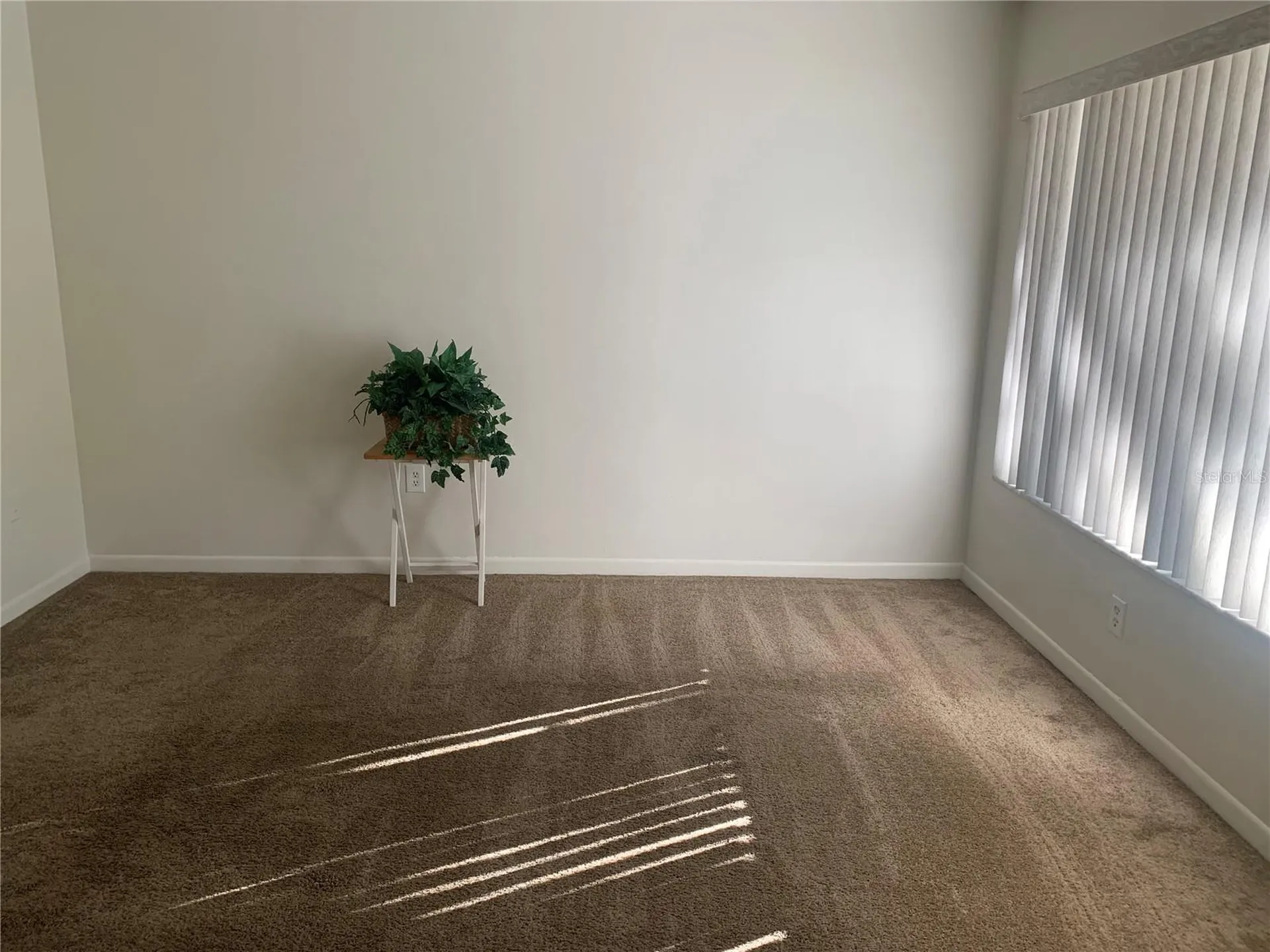 1257 Drew Street Clearwater FL 33755
