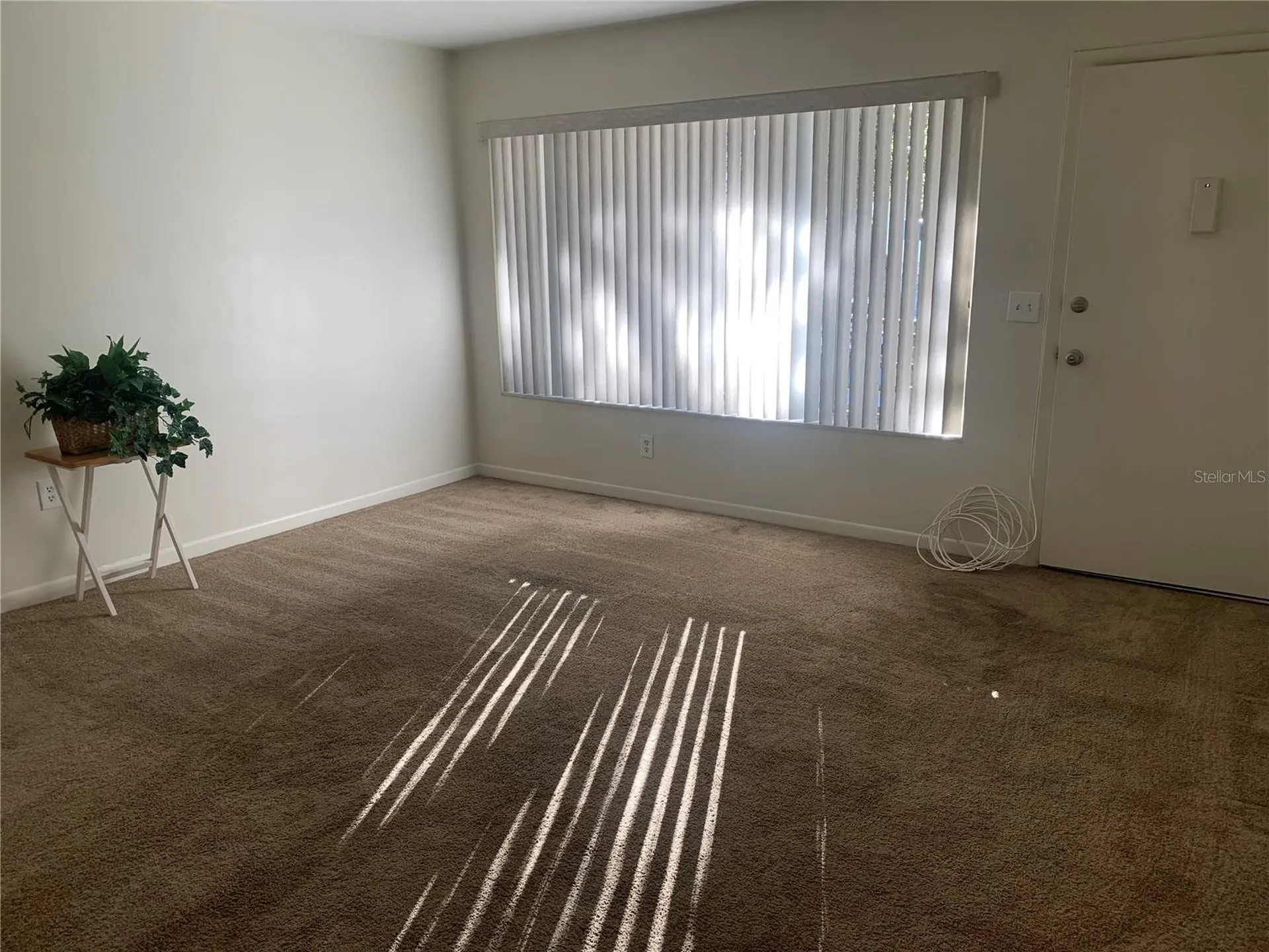 1257 Drew Street Clearwater FL 33755
