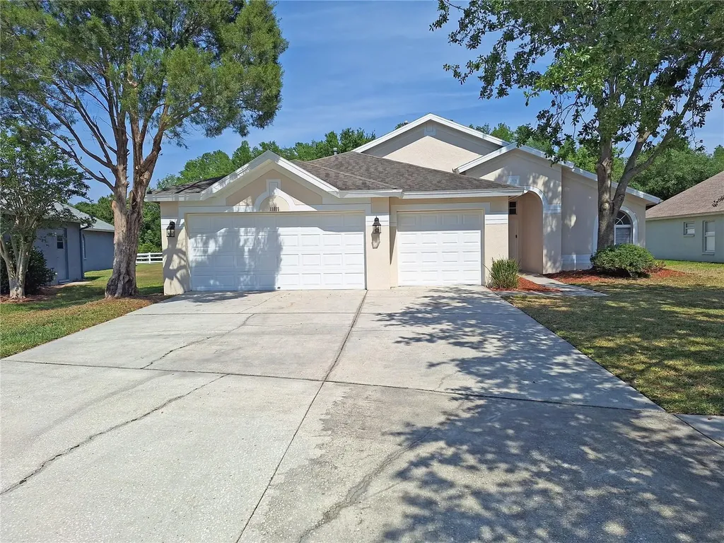 19855 Ellendale Drive Land O Lakes FL 34638