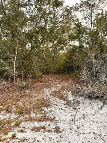 Purcell (paper) Street Deltona FL 32739