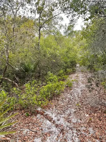 Purcell (paper) Street Deltona FL 32739