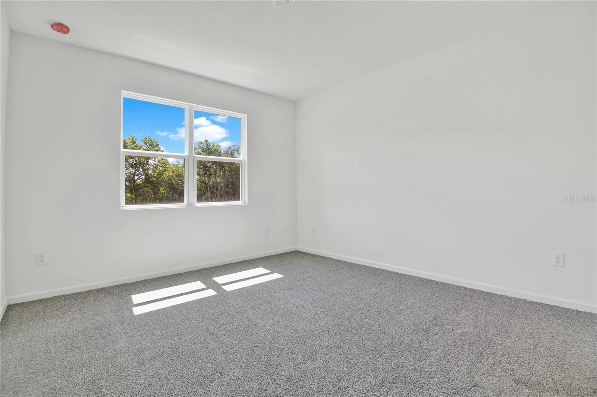 733 Lake Dell Avenue Dundee FL 33838