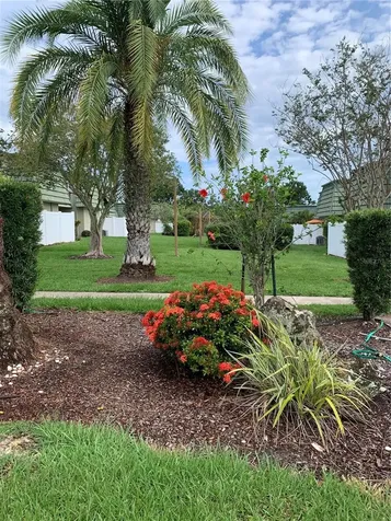 1799 N Highland Avenue Clearwater FL 33755