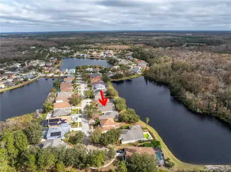 10506 Sky Flower Court Land O Lakes FL 34638