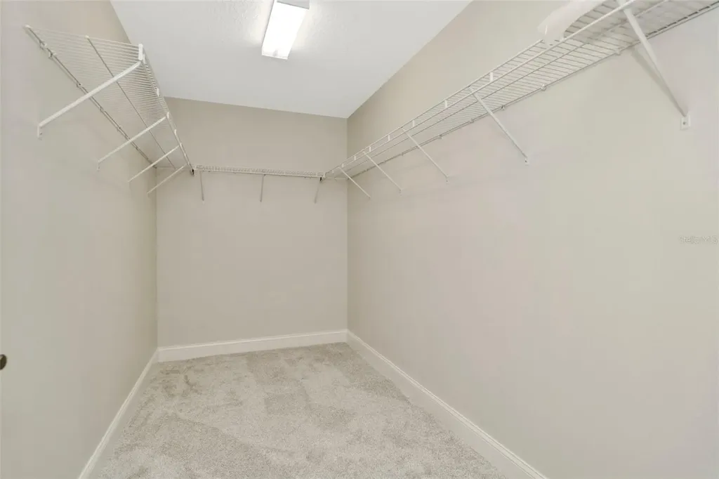 28516 Tranquil Lake Circle Wesley Chapel FL 33543