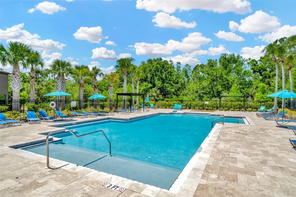 28516 Tranquil Lake Circle Wesley Chapel FL 33543