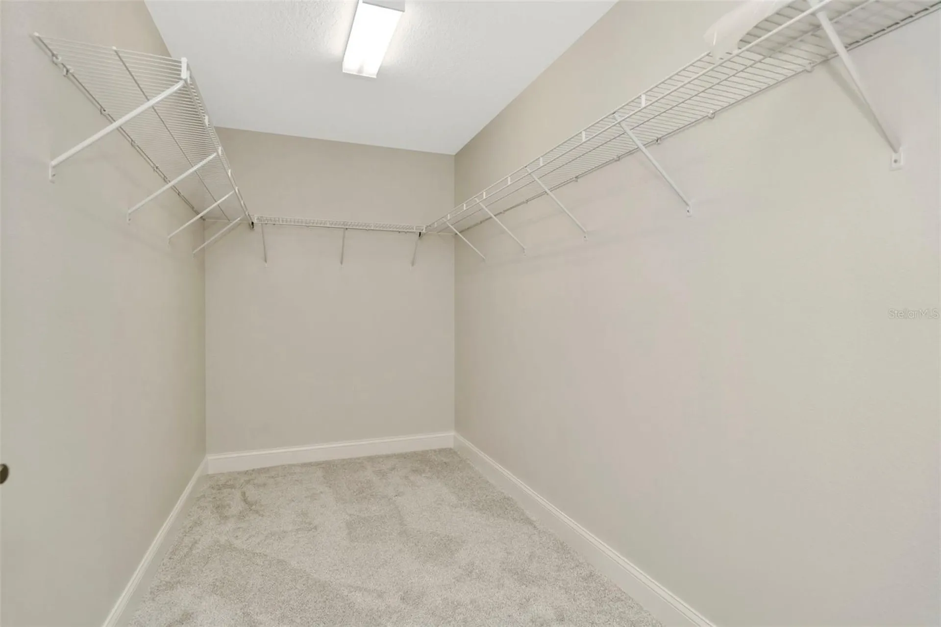 28516 Tranquil Lake Circle Wesley Chapel FL 33543