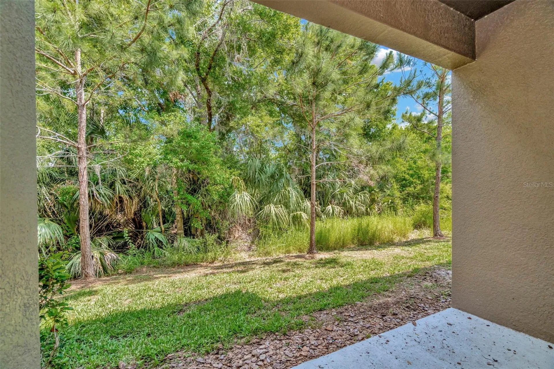 28516 Tranquil Lake Circle Wesley Chapel FL 33543
