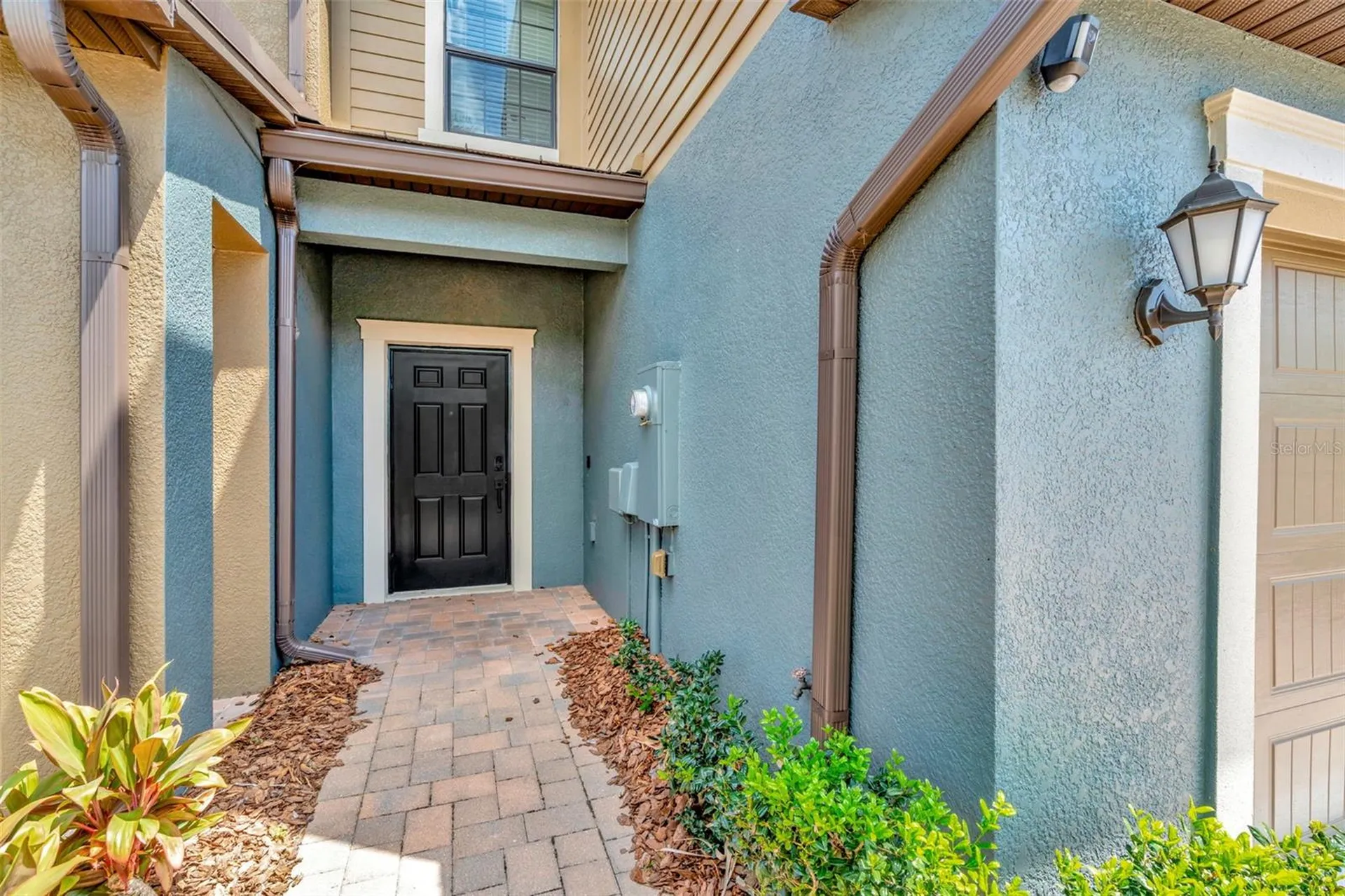 28516 Tranquil Lake Circle Wesley Chapel FL 33543