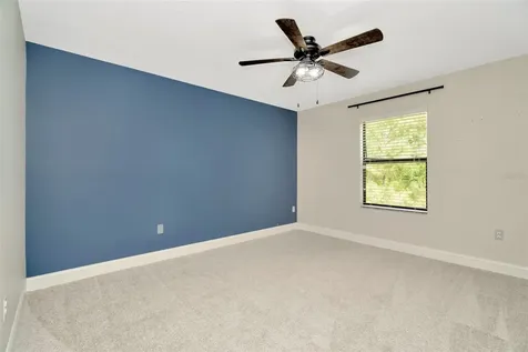 28516 Tranquil Lake Circle Wesley Chapel FL 33543