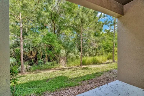 28516 Tranquil Lake Circle Wesley Chapel FL 33543