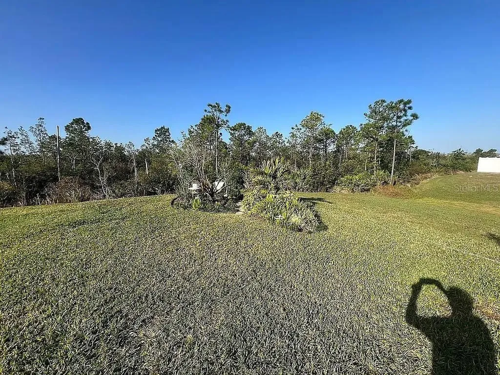 2711 Neverland Drive New Smyrna Beach FL 32168