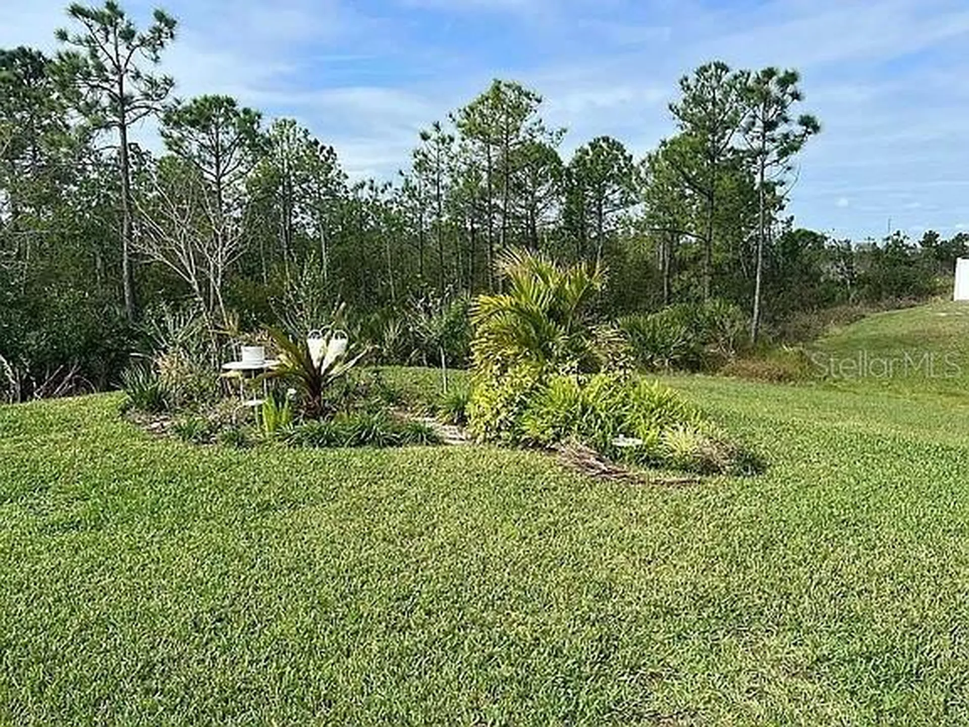 2711 Neverland Drive New Smyrna Beach FL 32168