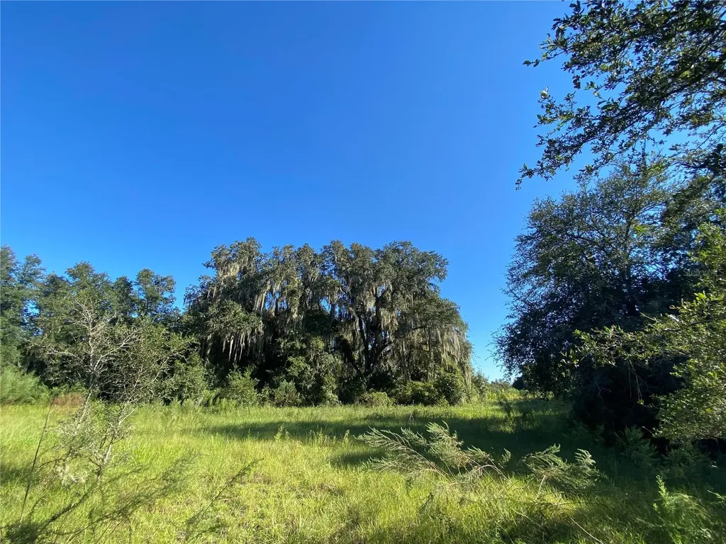7373 E Savannah Court Floral City FL 34436