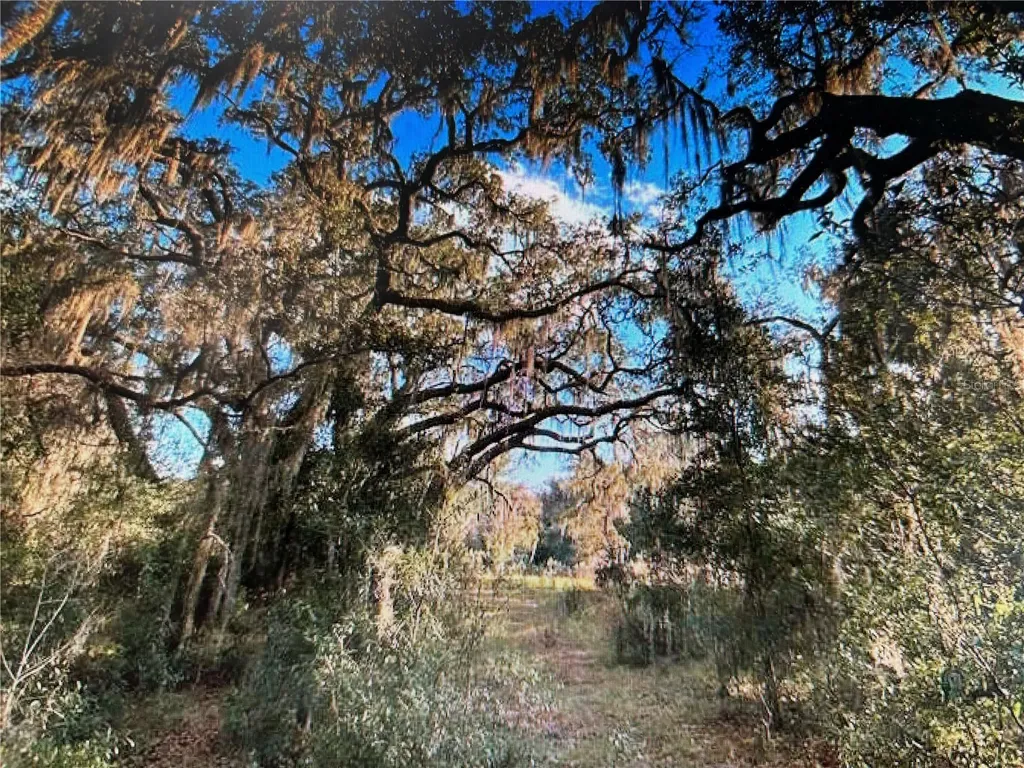 7373 E Savannah Court Floral City FL 34436