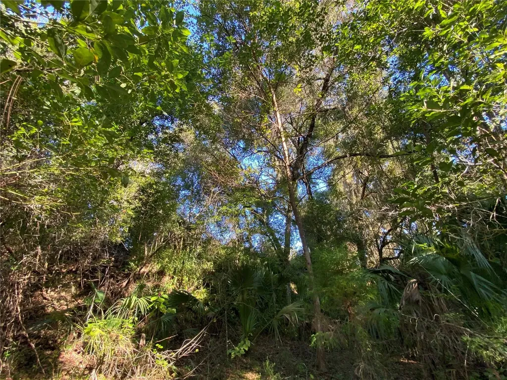 7373 E Savannah Court Floral City FL 34436