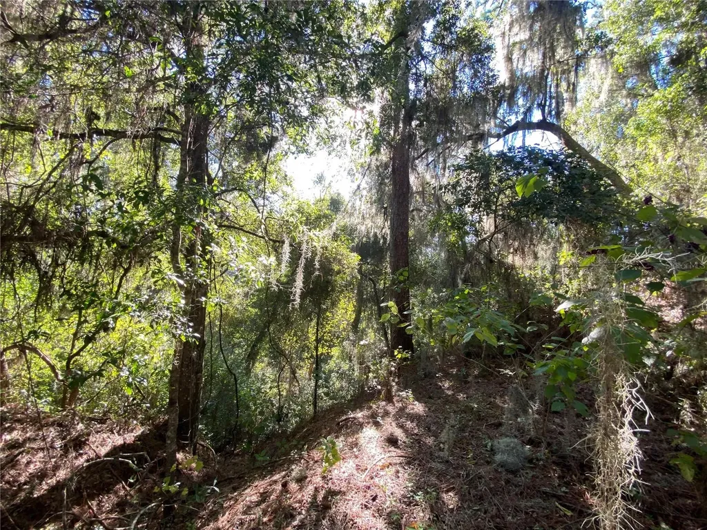 7373 E Savannah Court Floral City FL 34436
