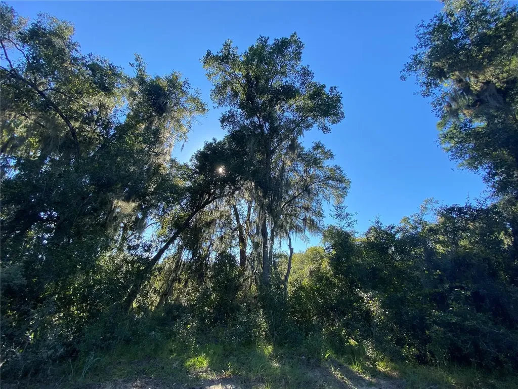 7373 E Savannah Court Floral City FL 34436
