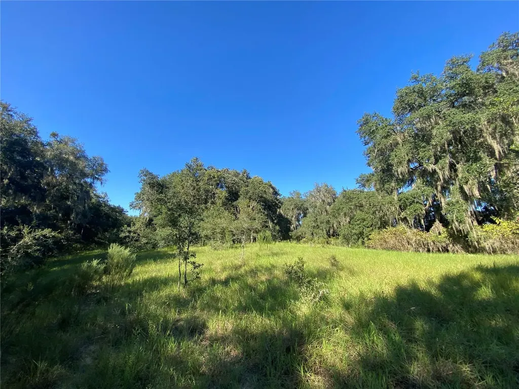 7373 E Savannah Court Floral City FL 34436