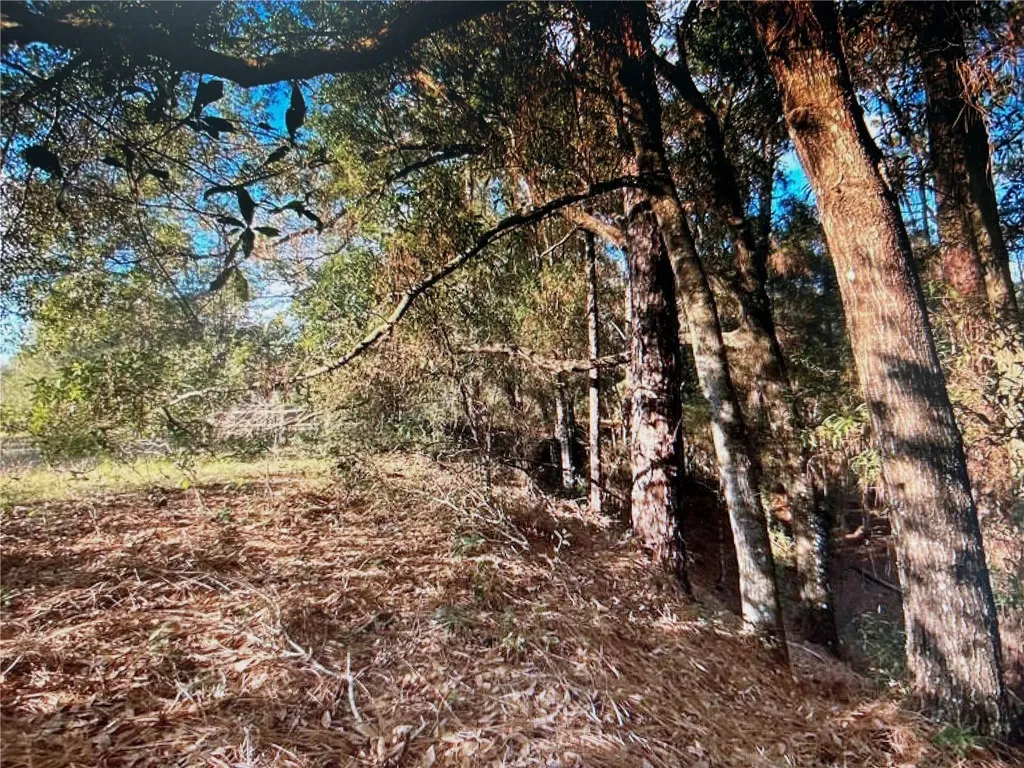 7373 E Savannah Court Floral City FL 34436