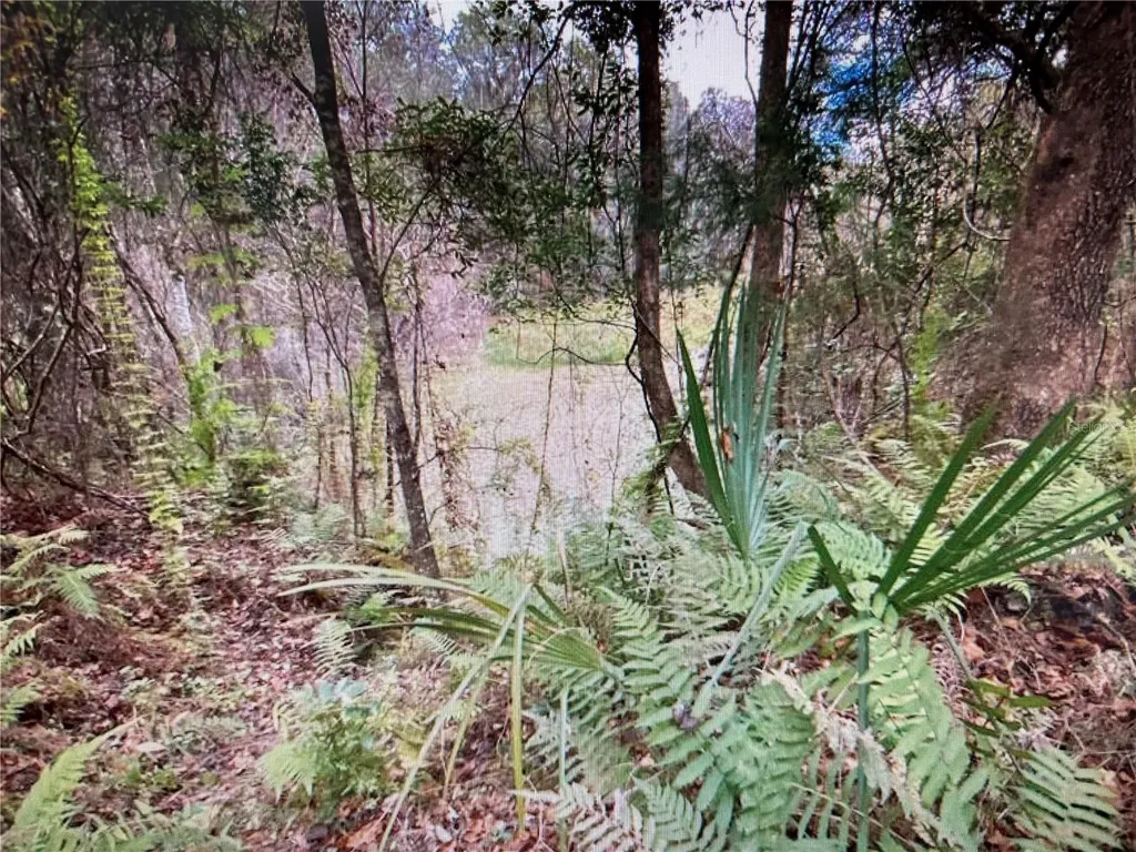 7373 E Savannah Court Floral City FL 34436