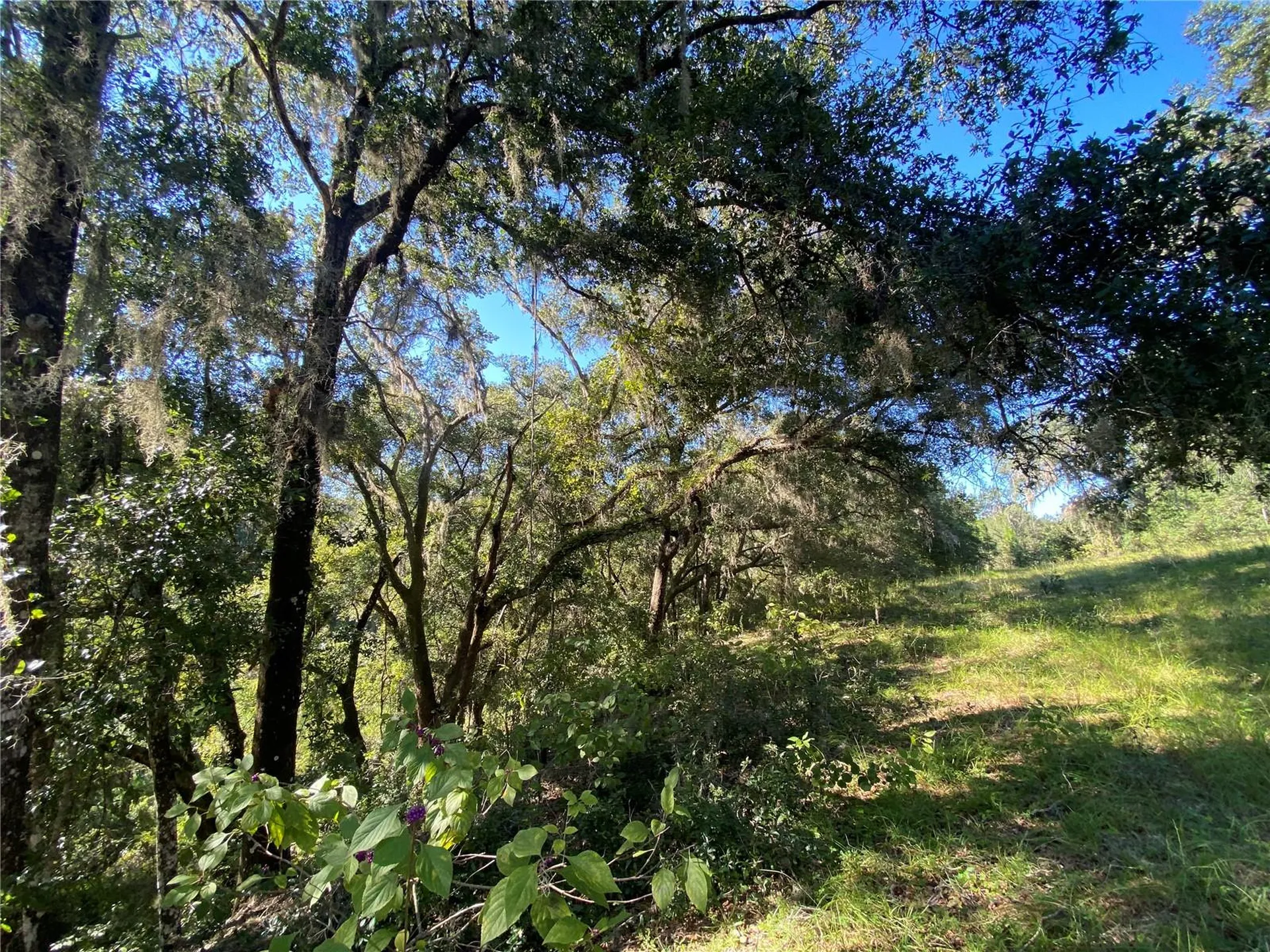 7373 E Savannah Court Floral City FL 34436