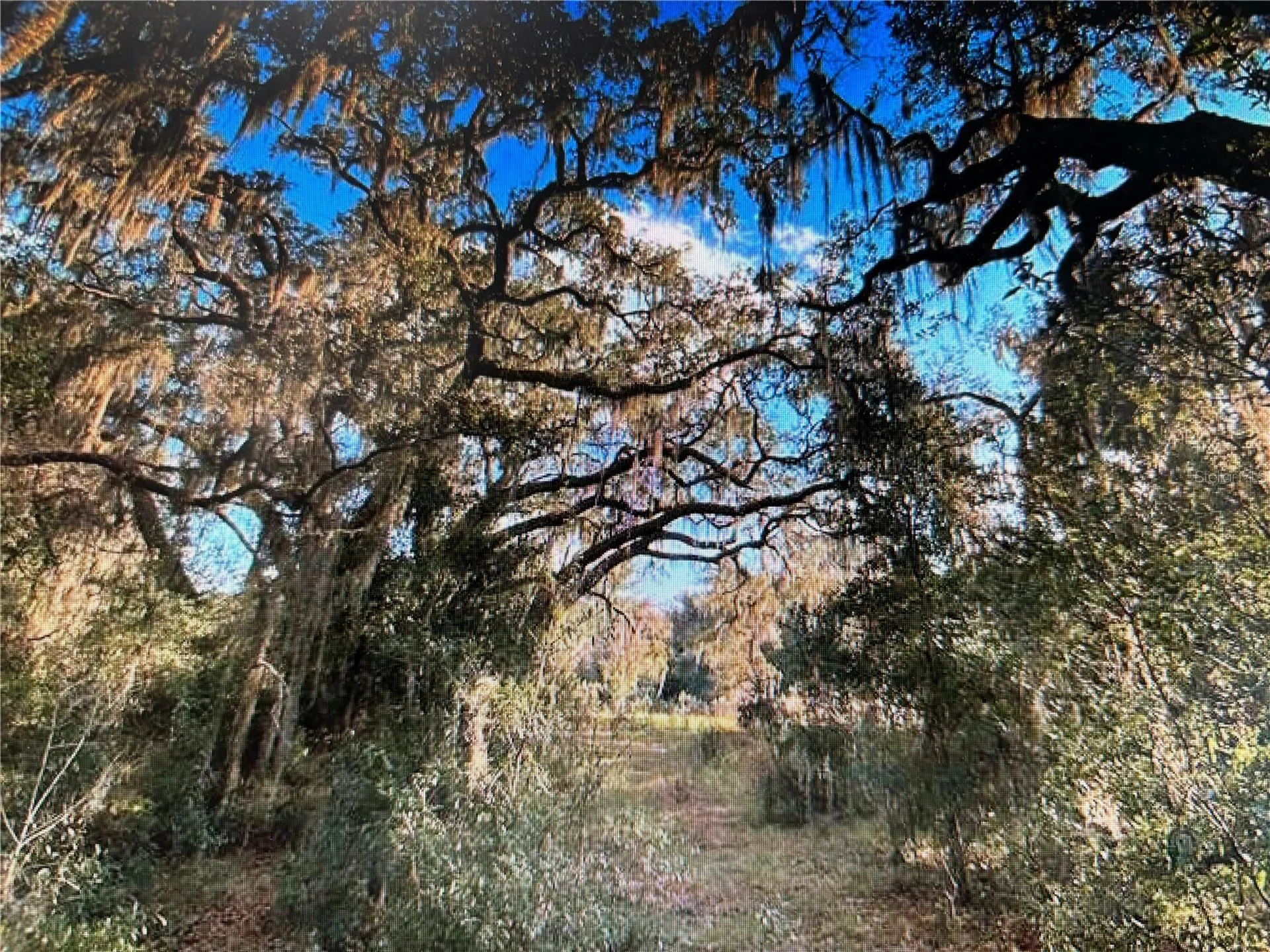 7373 E Savannah Court Floral City FL 34436