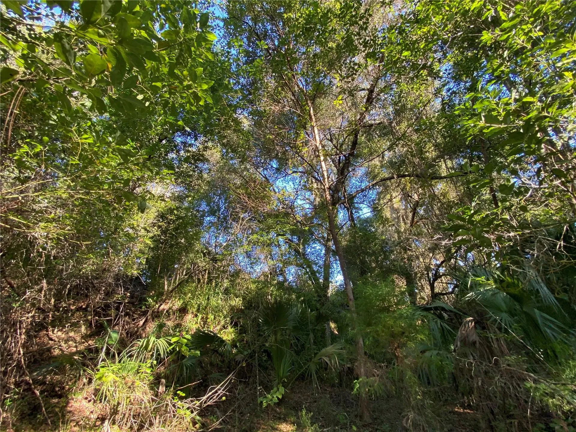 7373 E Savannah Court Floral City FL 34436