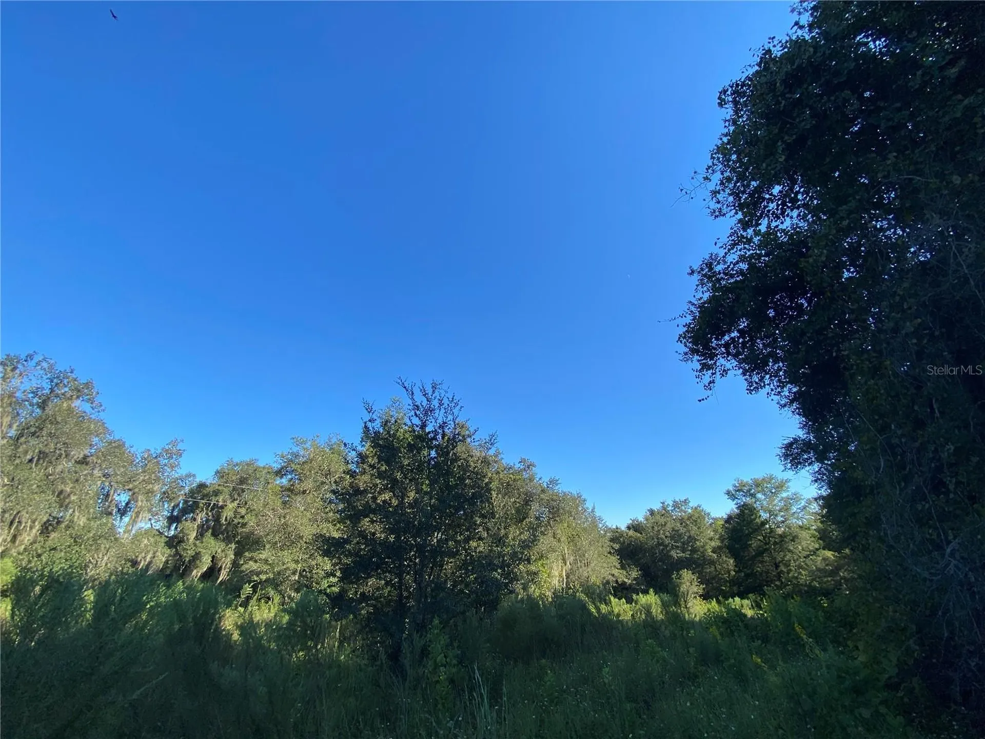 7373 E Savannah Court Floral City FL 34436