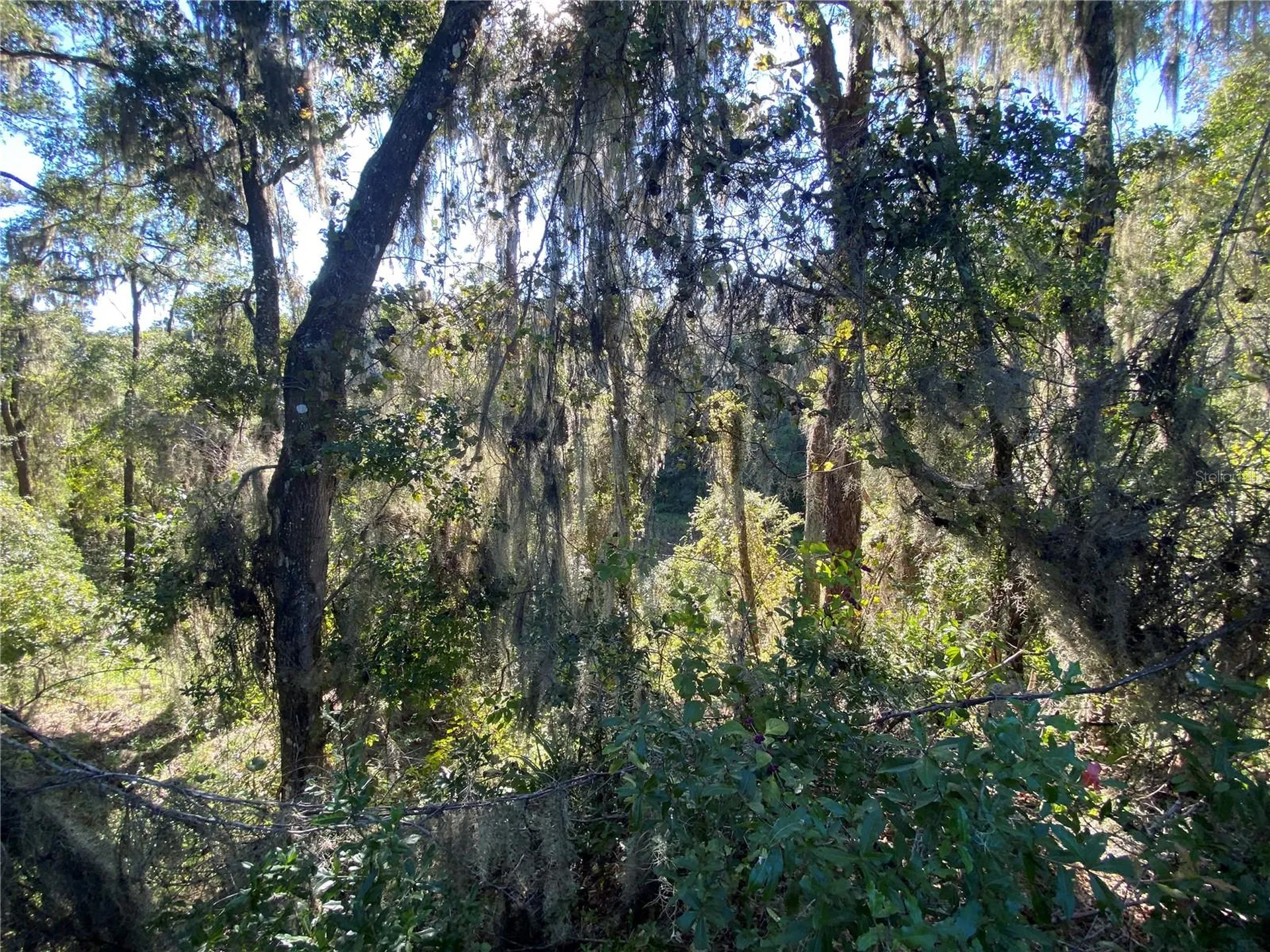 7373 E Savannah Court Floral City FL 34436