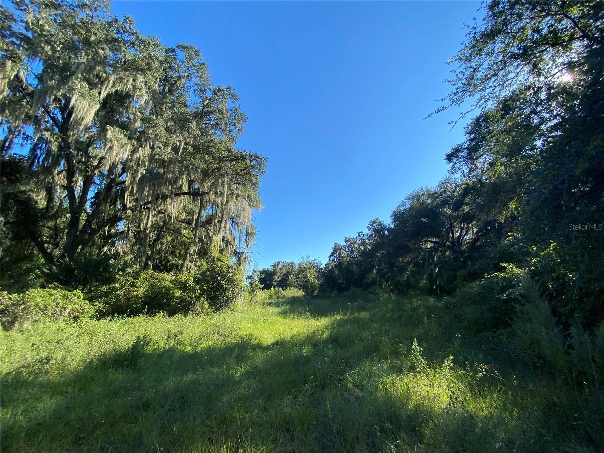7373 E Savannah Court Floral City FL 34436