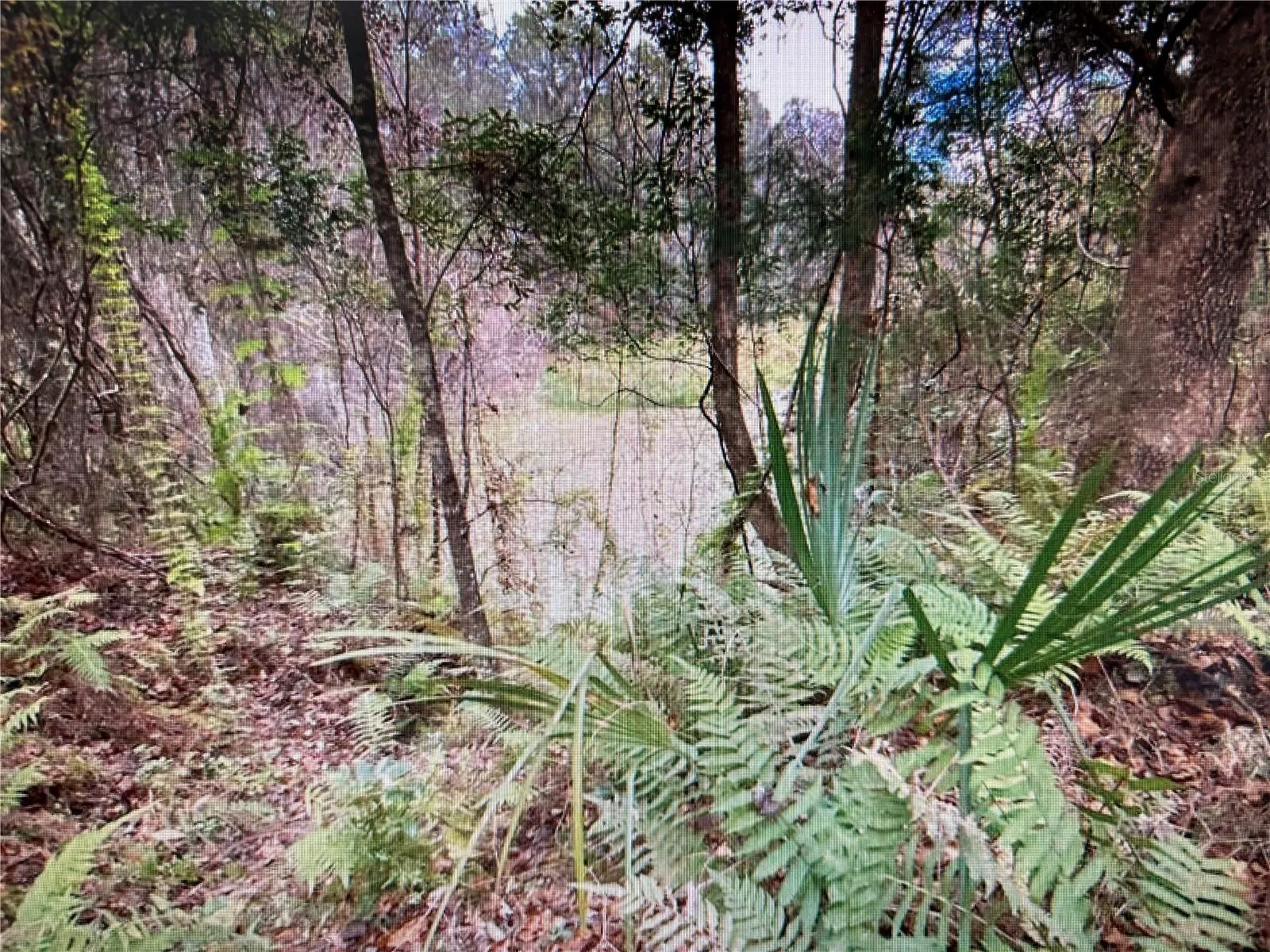 7373 E Savannah Court Floral City FL 34436
