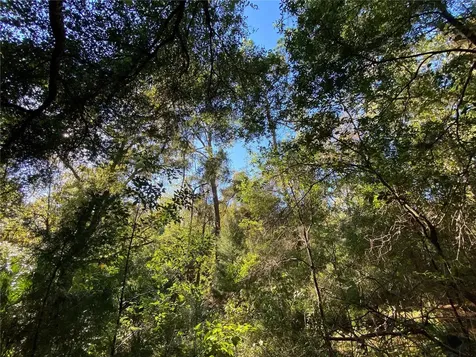 7373 E Savannah Court Floral City FL 34436