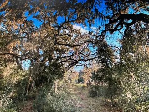 7373 E Savannah Court Floral City FL 34436