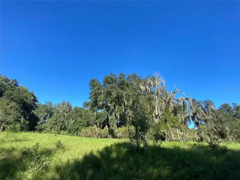 7373 E Savannah Court Floral City FL 34436