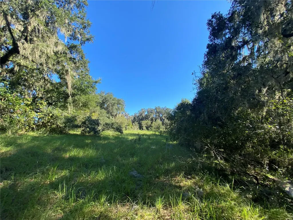 8701 S Fruition Avenue Floral City FL 34436