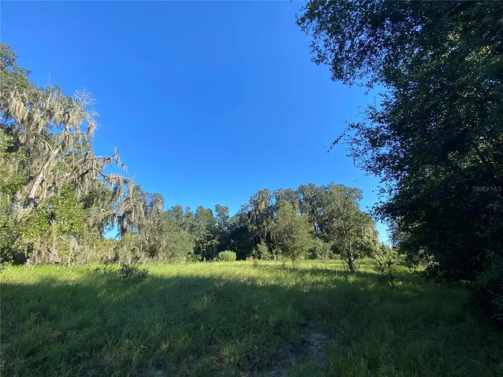8701 S Fruition Avenue Floral City FL 34436