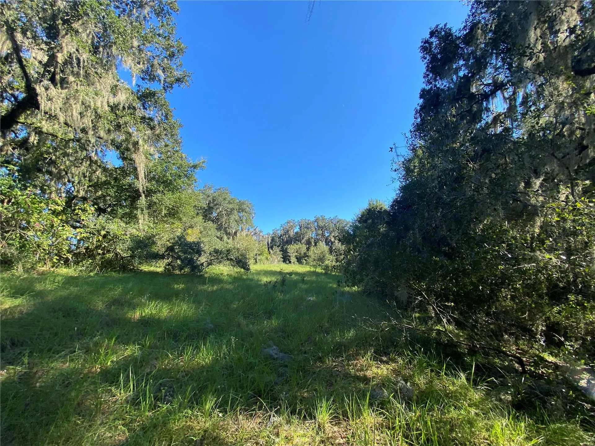 8701 S Fruition Avenue Floral City FL 34436