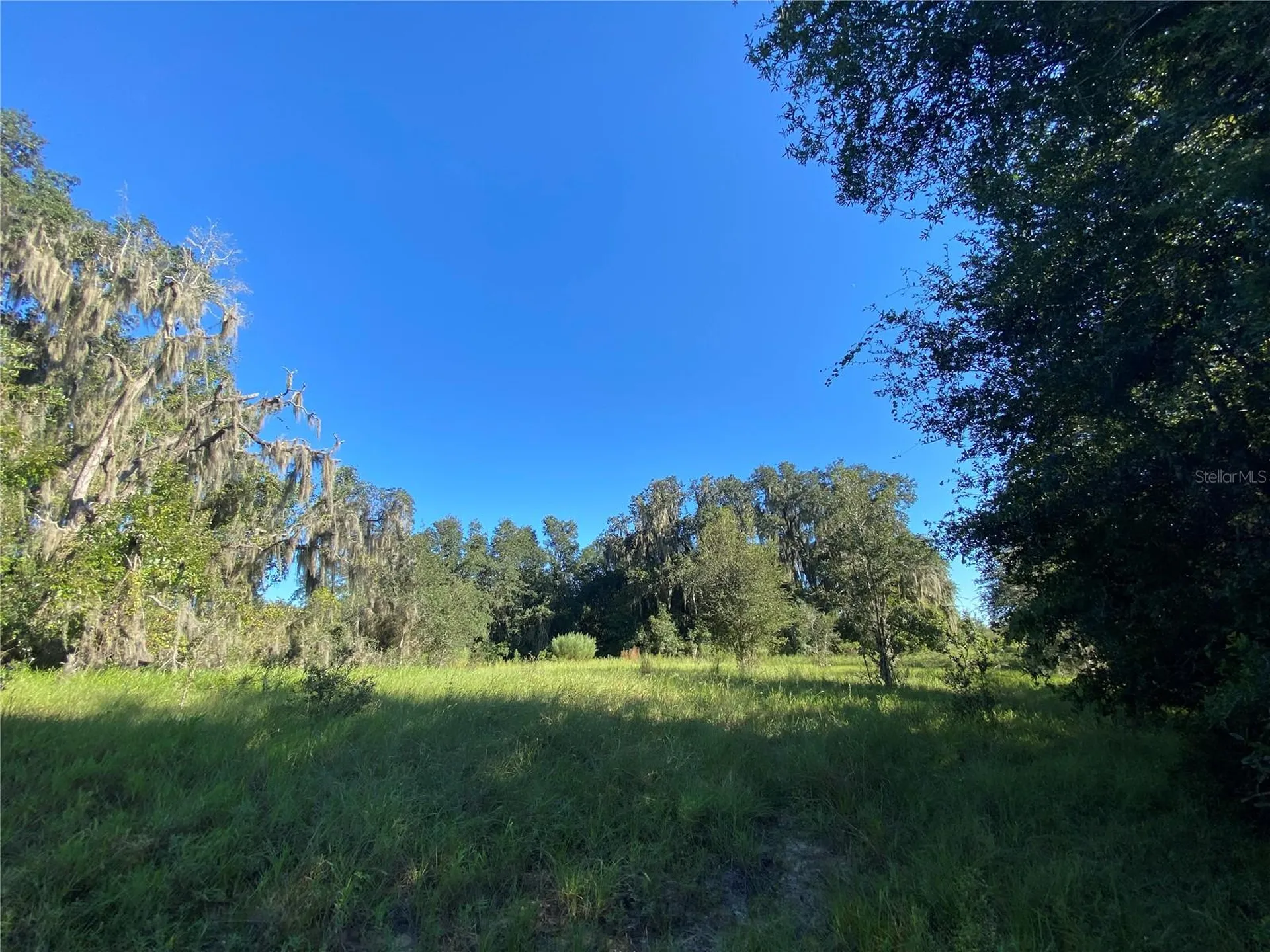 8701 S Fruition Avenue Floral City FL 34436
